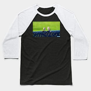 Two Sparrows Resting On a Bench Baseball T-Shirt